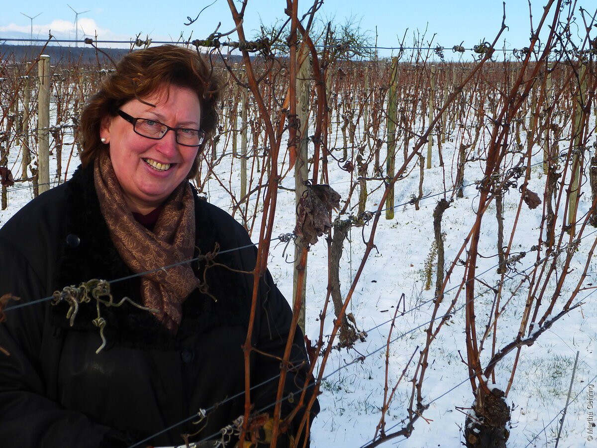 Erste Arbeiten des Jahres im Weinberg