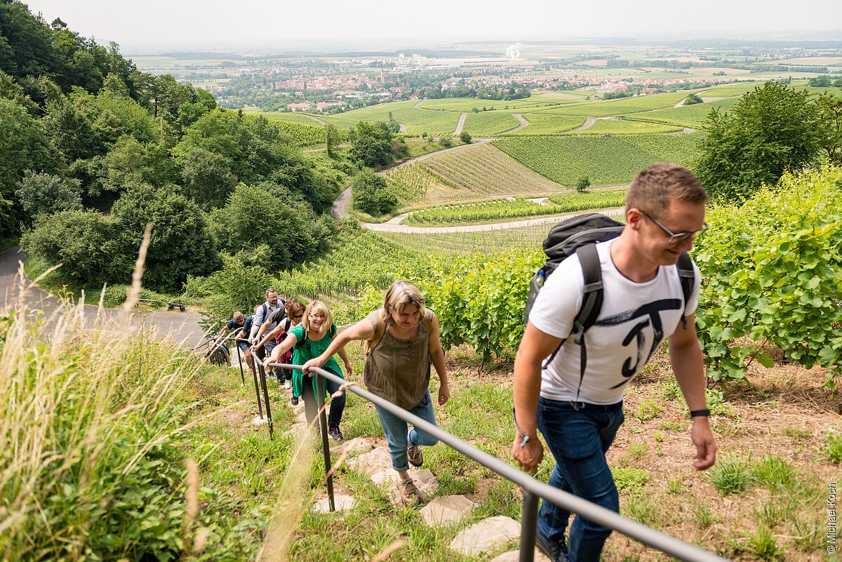 Weinwandern Iphofen (Iphofen/Fränkisches Weinland)