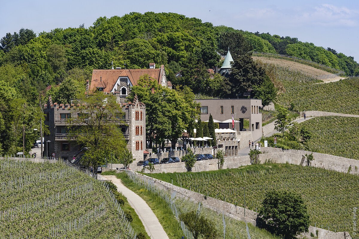 Schloss Steinburg (Würzburg, Fränkisches Weinland)