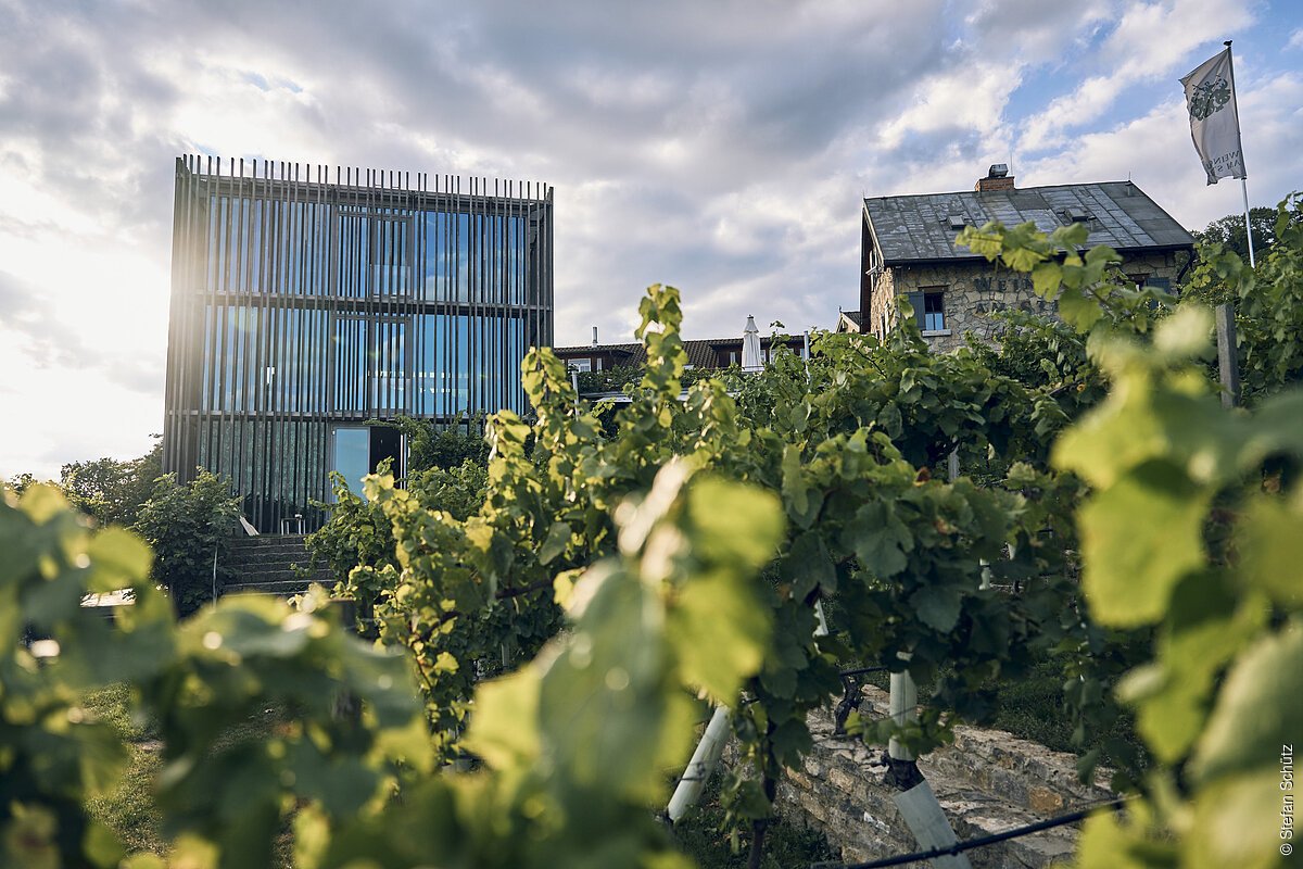 Weingut am Stein (Würzburg, Fränkisches Weinland)